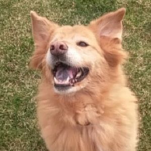 Meet your Posher, Taryn